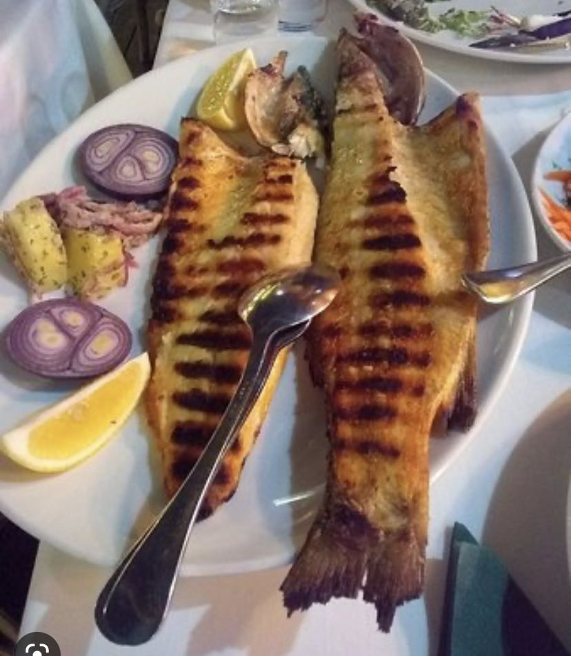 Bonito